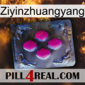 Ziyinzhuangyang 02